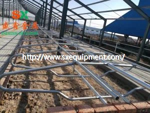 Equip de granja animal de vaca lliure